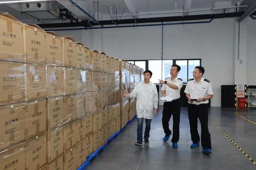 gdp已超9200億 佛山沖刺新目標 軌交客流 入戶人數激增