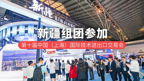 新疆組團參加第十屆中國 上海 國際技術進出口交易會