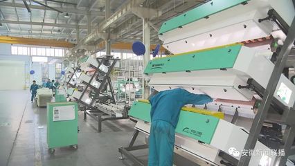 1700億元!安徽民營企業進出口創新高