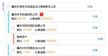 重慶外貿技術改造進出口有限責任公司